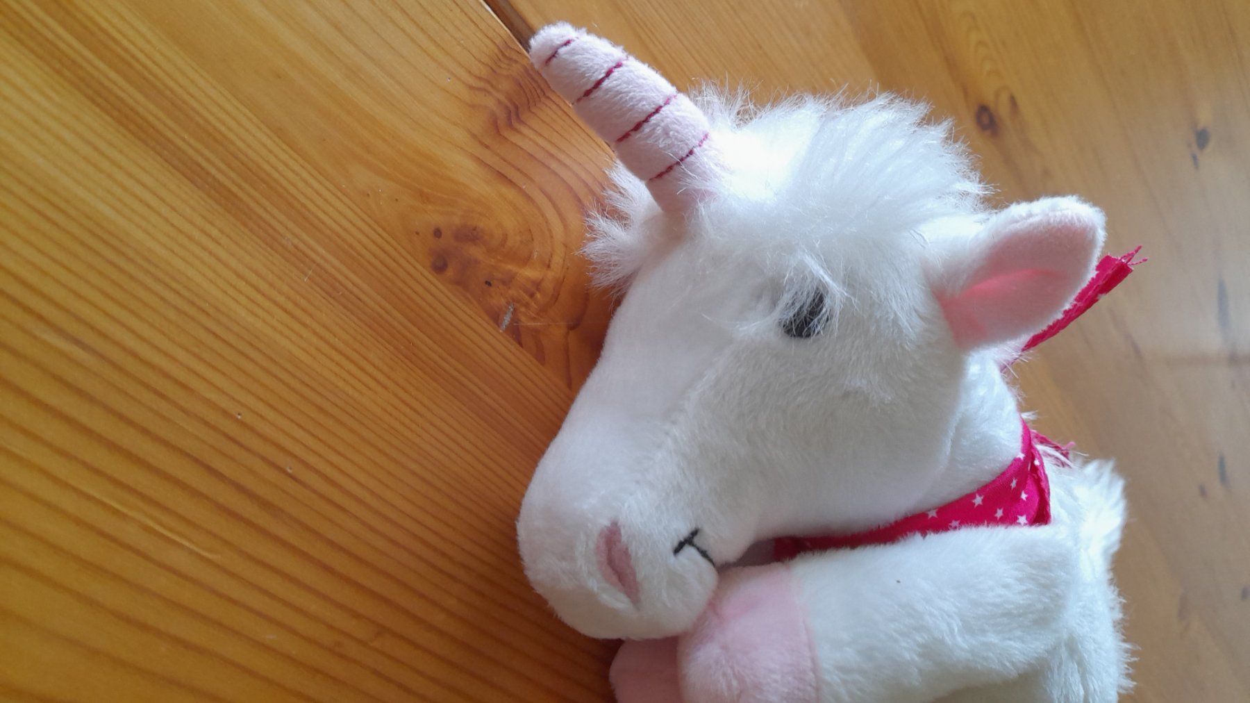 Giocattoli: Einhorn in weiss – Usato da Nesslau venduto da Churfirsten08 3