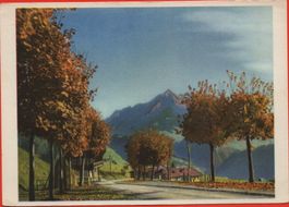 LEYSIN L'automne à Leysin