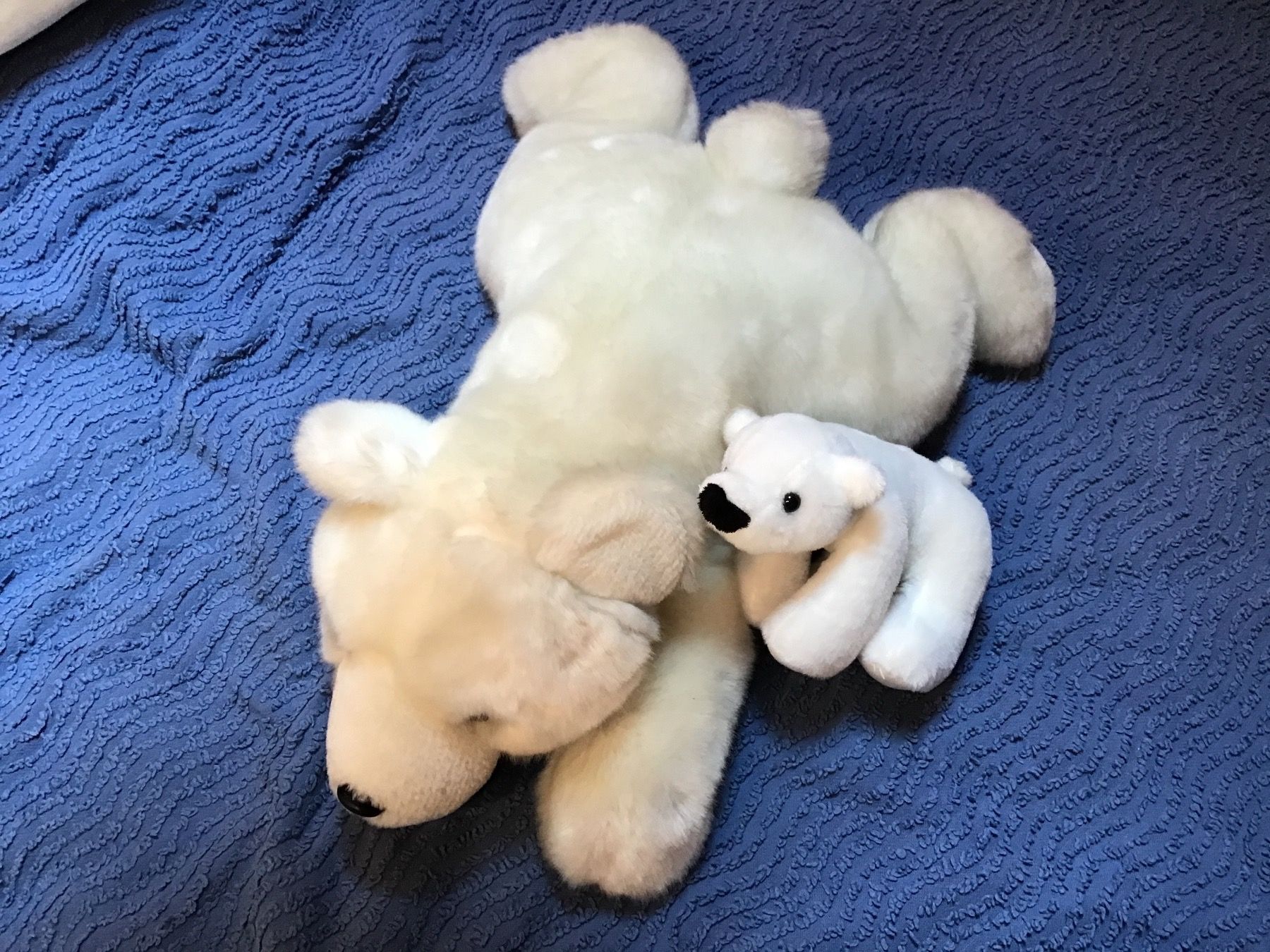 Jouets: Eisbär mit Baby – Neuf (Voir description) à Rüti ZH par Wernika1