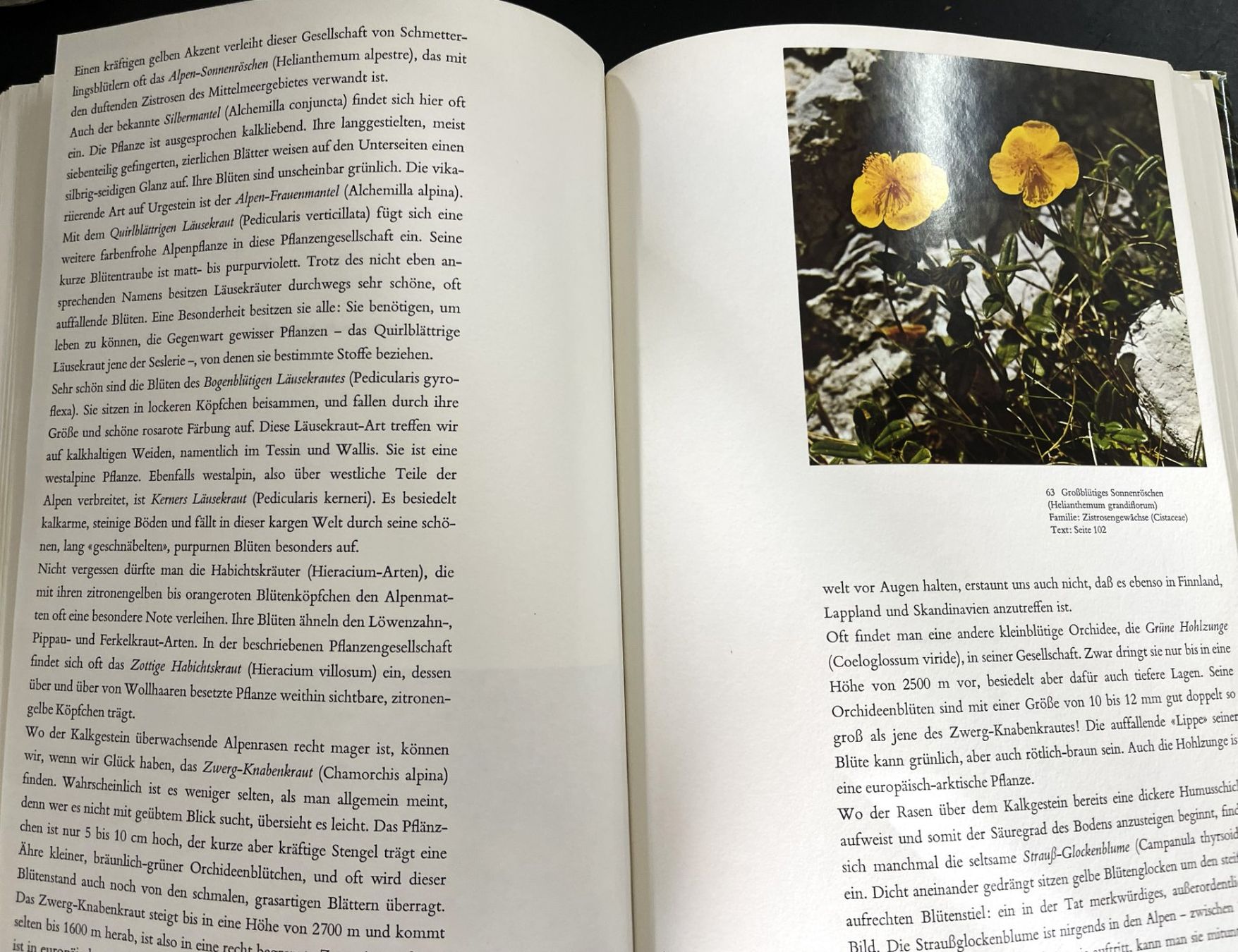 Libri: Silva Verlag, Alpenblumen, 1969 – Usato da Oftringen venduto da Vucki 6