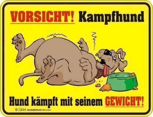 Insegne: Vorsicht! Kampfhund - Blechschild – Nuovo (secondo la descrizione) da Ennetbürgen venduto da open24shop