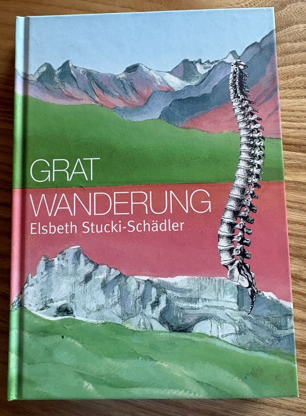 Libri: Gratwanderung Elsbeth Stucki-Schädler – Usato da Neukirch-Egnach venduto da Phion 5