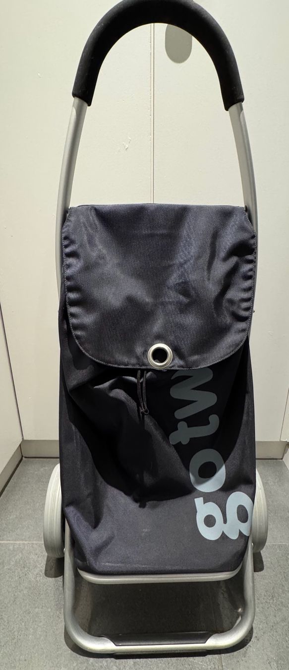 Altro per la casa: Go Two Shopping Trolley Black – Usato da Neuchâtel venduto da Neuch1