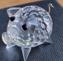 Swarovski Säuli