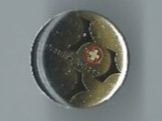 Patrouille Suisse , Pin