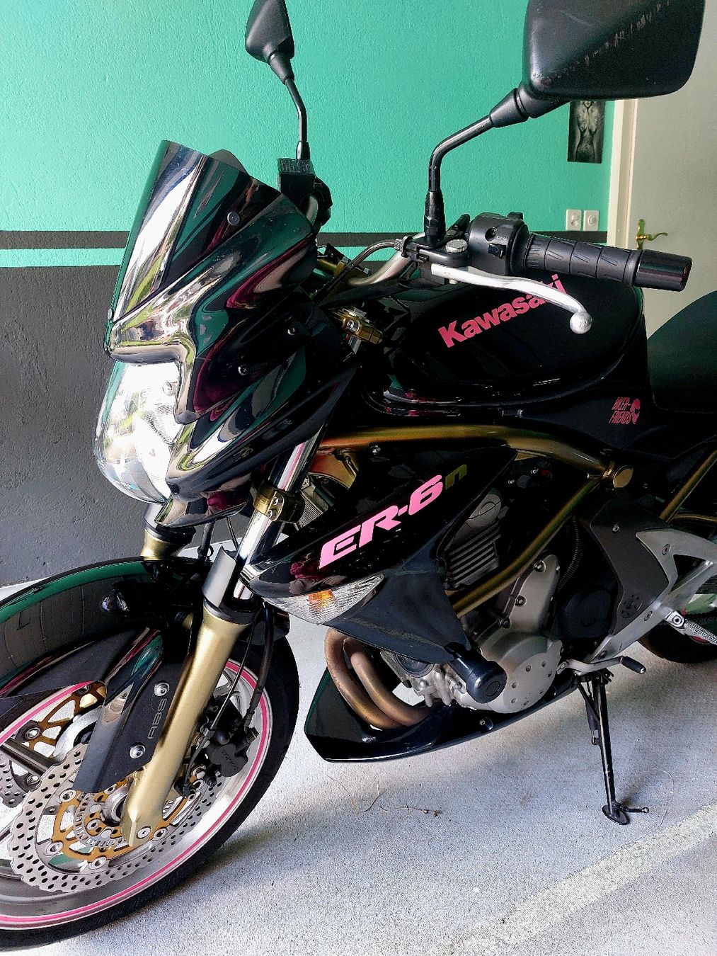 Strada: Kawasaki ER-6N, – Usato da Anglikon venduto da N.A.D.I.N.E 1