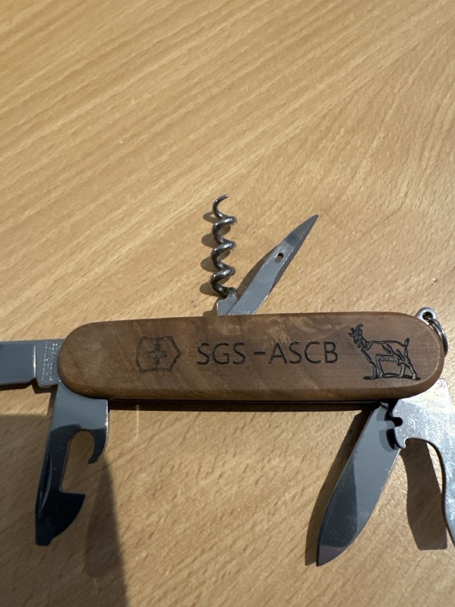 Victorinox Coltelli tascabile: Victorinox SGS-ASCB Sackmesser – Usato da Dulliken venduto da Zuchu 1