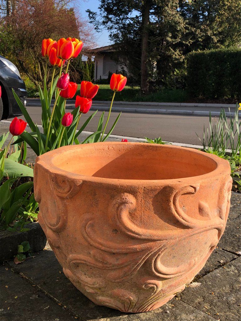 Vasi per fiori: Wunderschöner, grosser Terracotta-Pflanztopf – Usato da Dällikon venduto da Spili20