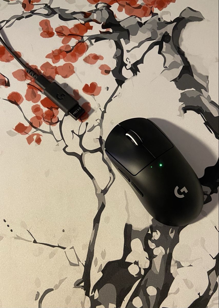 Logitech Maus: Logitech Pro X Superlight 2 – Gebraucht aus Schaffhausen von cherren75 6