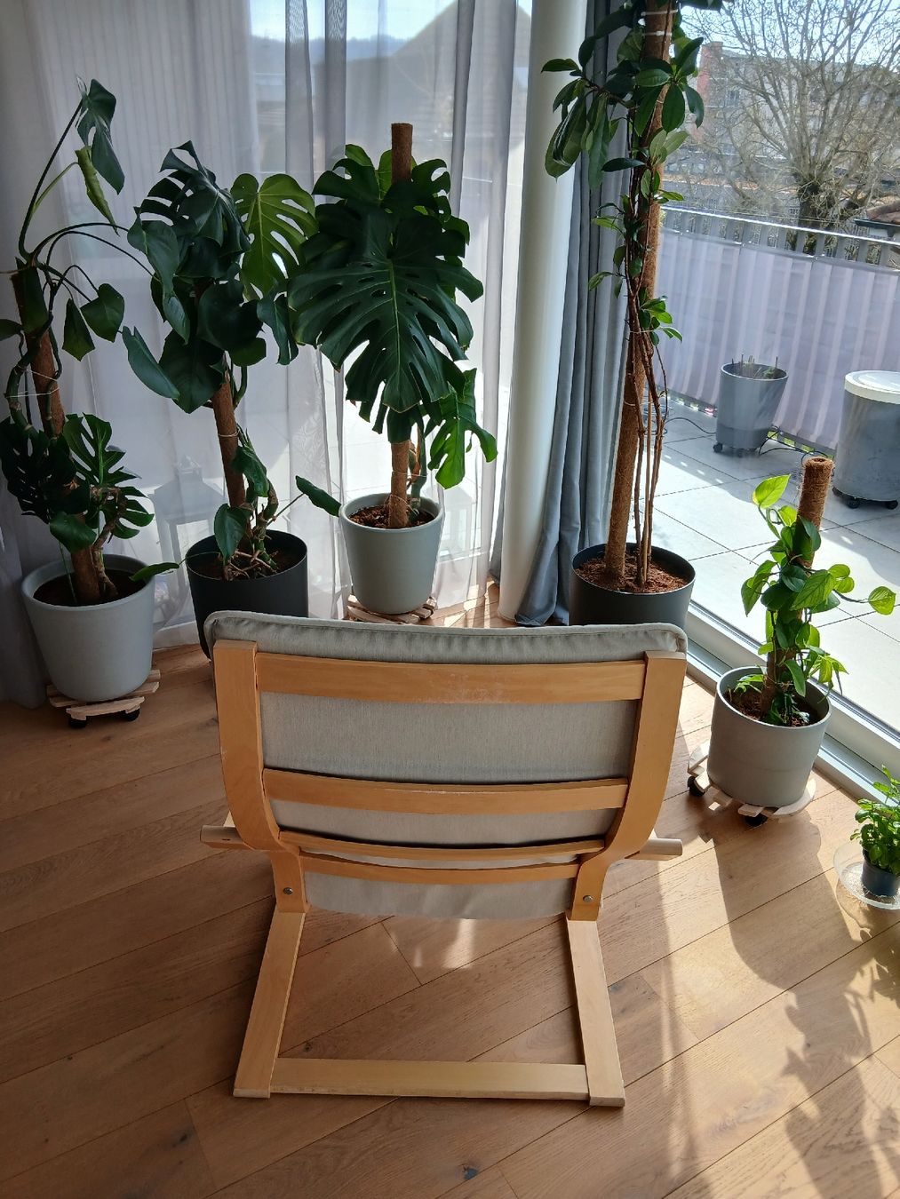 Ikea Sessel: Ikea Sessel Poäng, hellgrau, top Zustand – Gebraucht aus Oftringen von nem_6zkk 4