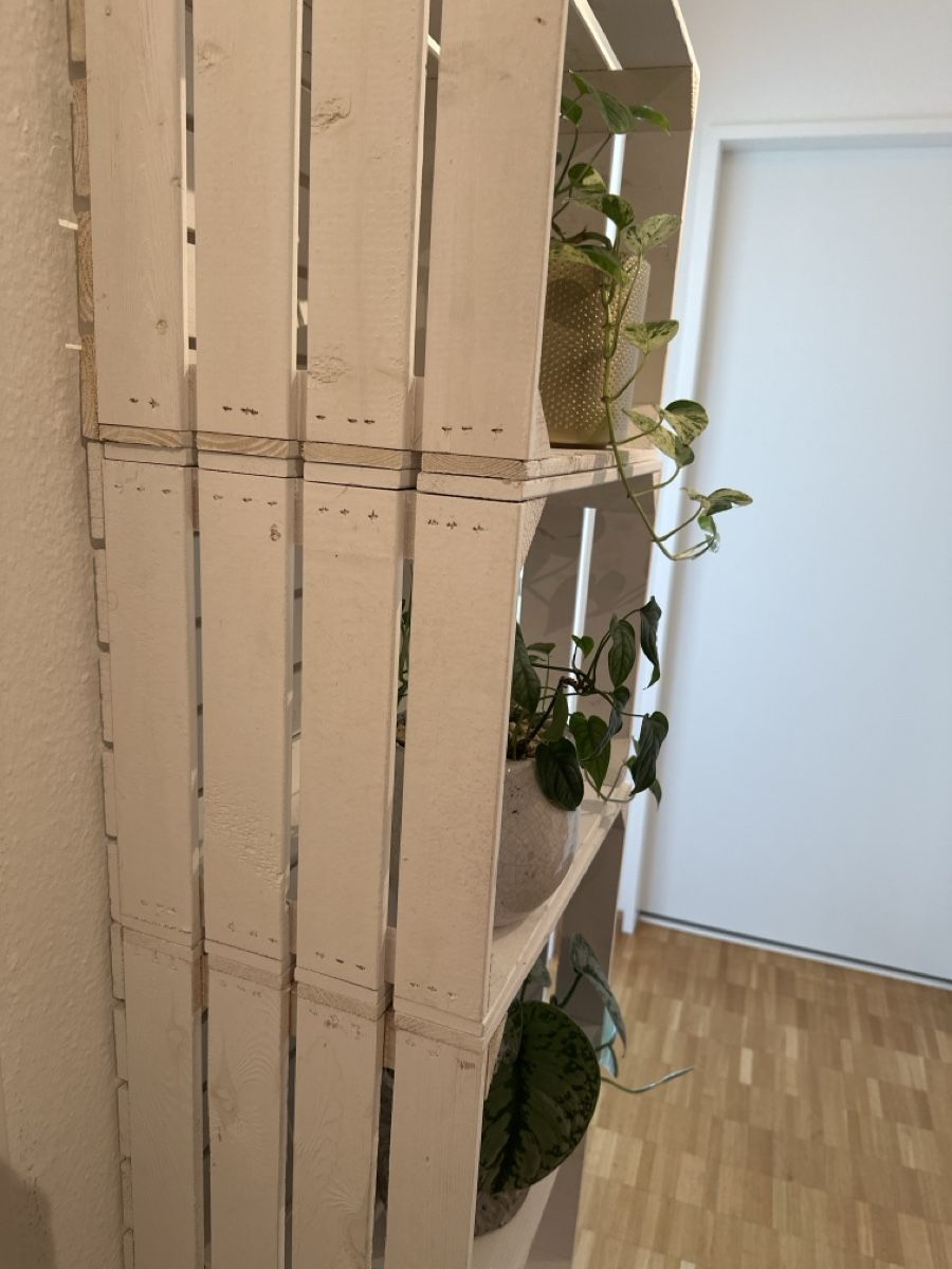 Alle Dekorationen: 5x Holzkiste / Dekokistli – Gebraucht aus Ettingen von JaneSP 2