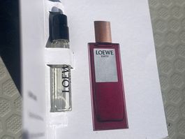 Loewe Earth