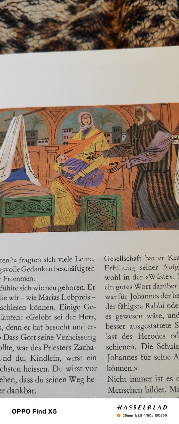 Livres: Kinderbibel – Neuf (Voir description) à Volken par katz5 2