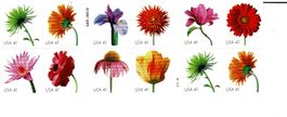 USA Blumen carnet 20 timbres fleurs **
