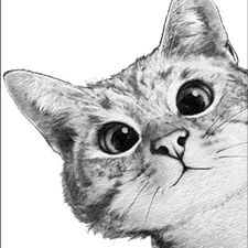 Profile image of Meli_w93