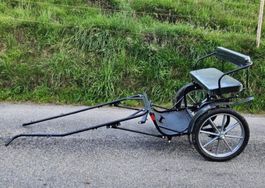 Neuwertiger Gig/ Sulky für Shetty oder Pony zu verkaufen