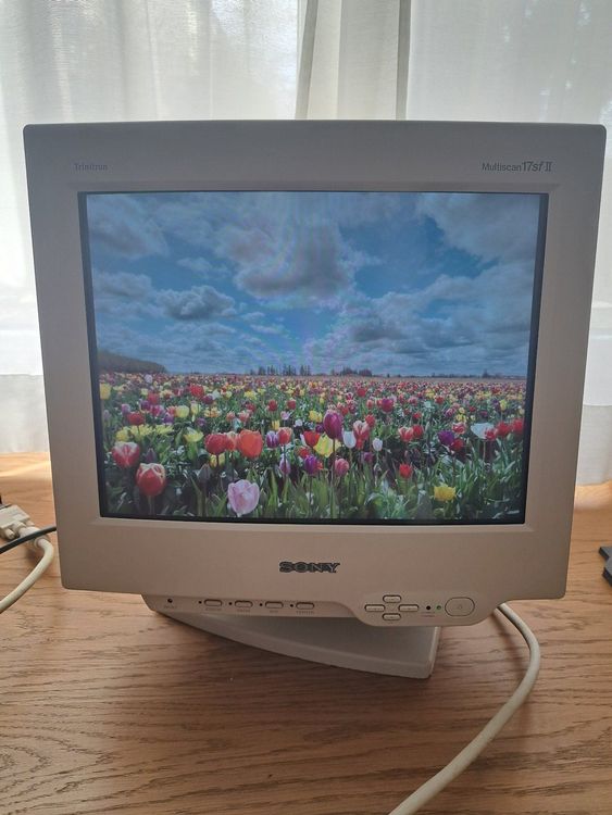 Sony CRT Monitor 17 Zoll (Gebraucht) in Oberengstringen für CHF 241 ...
