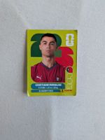 Panini Bild POR 15