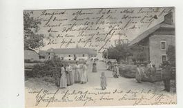 Longirod, 1902