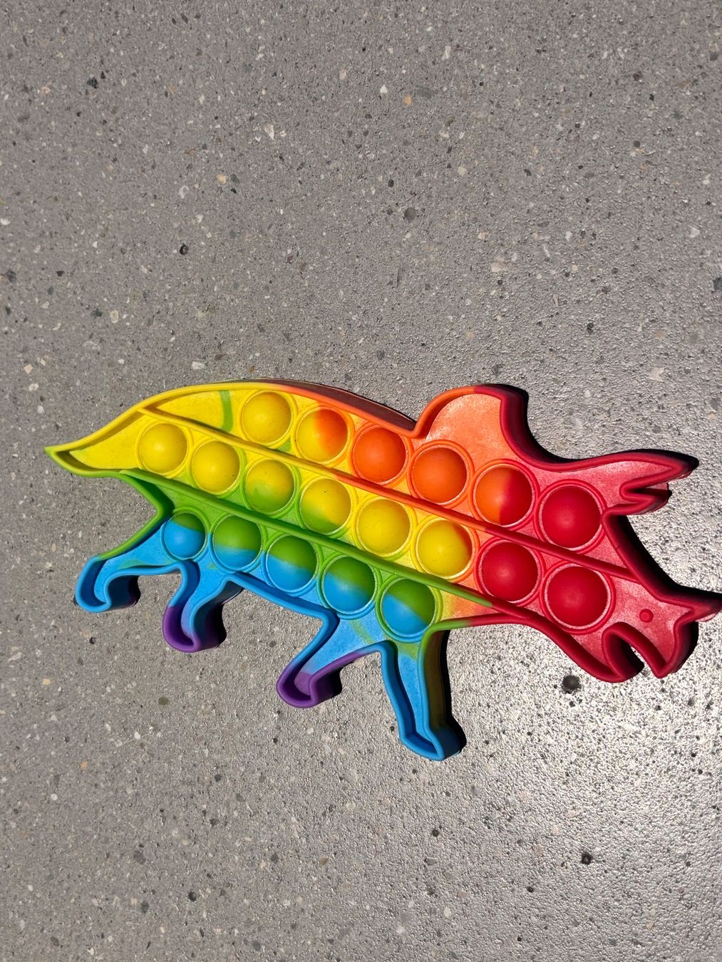Spielzeuge: Pop It Dinosaurier Regenbogen Farben neuwertig – Gebraucht aus Zürich von engebrunau 1