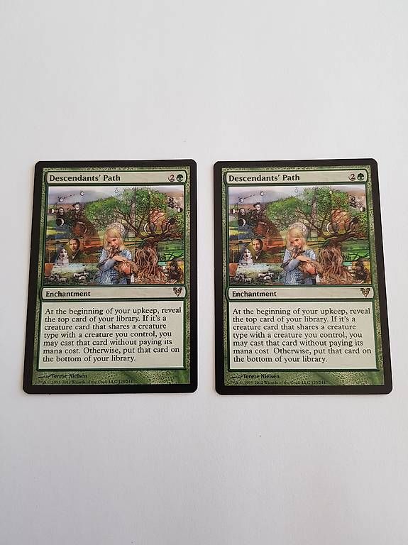 Carte collezionabili: Magic the Gathering 2x Descendant's Path – Usato da Sennhof venduto da Thorgal77
