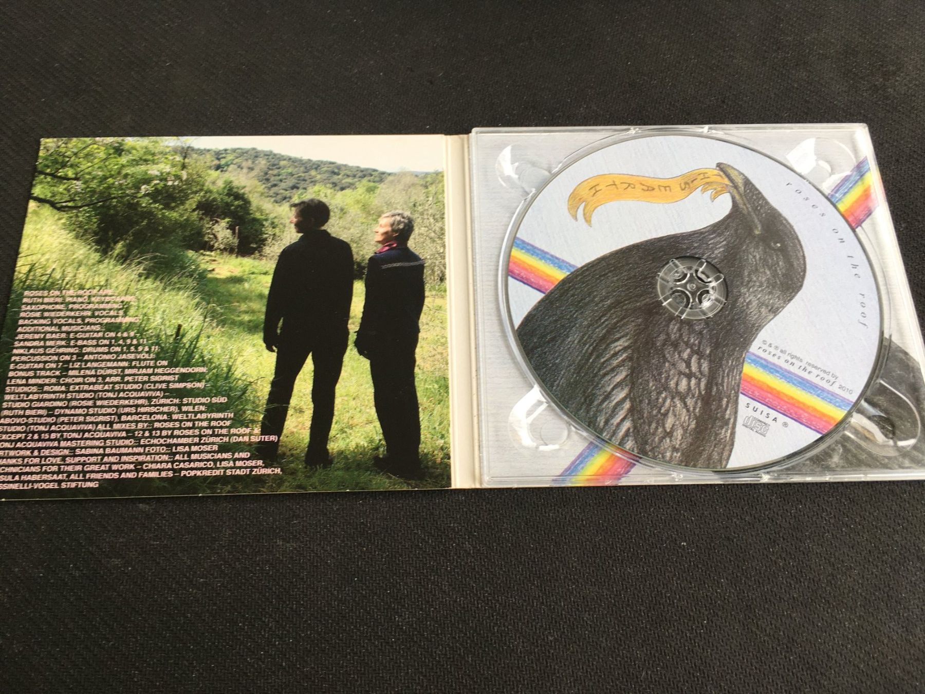 CDs: Roses on the Roof - This Earth -CD- – Gebraucht aus St.Gallen von MedienJoe 1