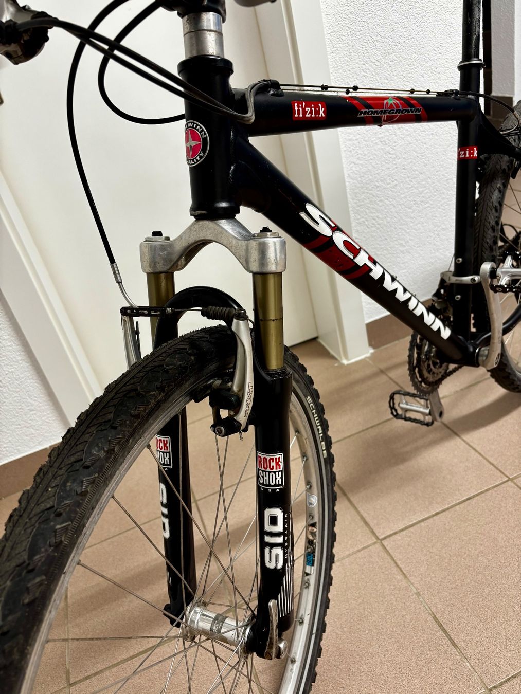 Schwinn Velos: Schwinn Homegrown LX/DX – Gebraucht aus Muri b. Bern von Tarrot69 1