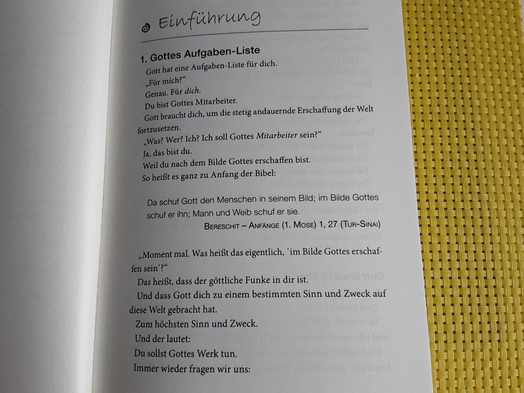 Libri: Der Himmel sucht Mitarbeiter – Nuovo e nell'imballaggio originale da Rebstein venduto da Buchsi03 3