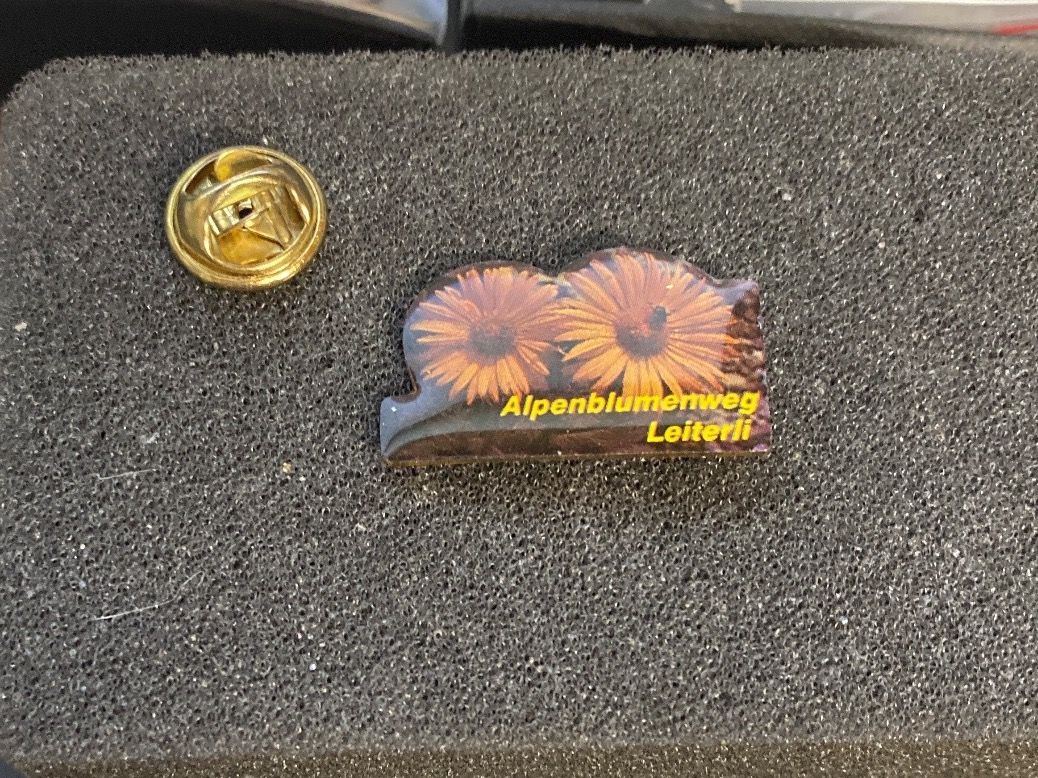 Placchette & Badge: PIN'S - ALPENBLUMENWEG LEITERLI – Usato da Le Brassus venduto da cinema13