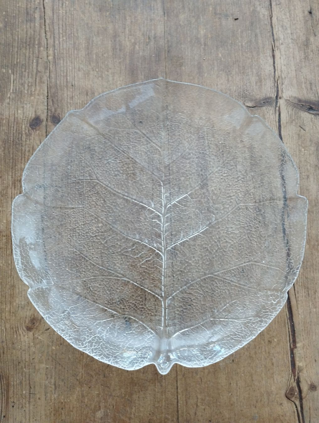 Piatti: Glas Teller 20cm Durchmesser – Nuovo (secondo la descrizione) da Hallwil venduto da cao_x7wb