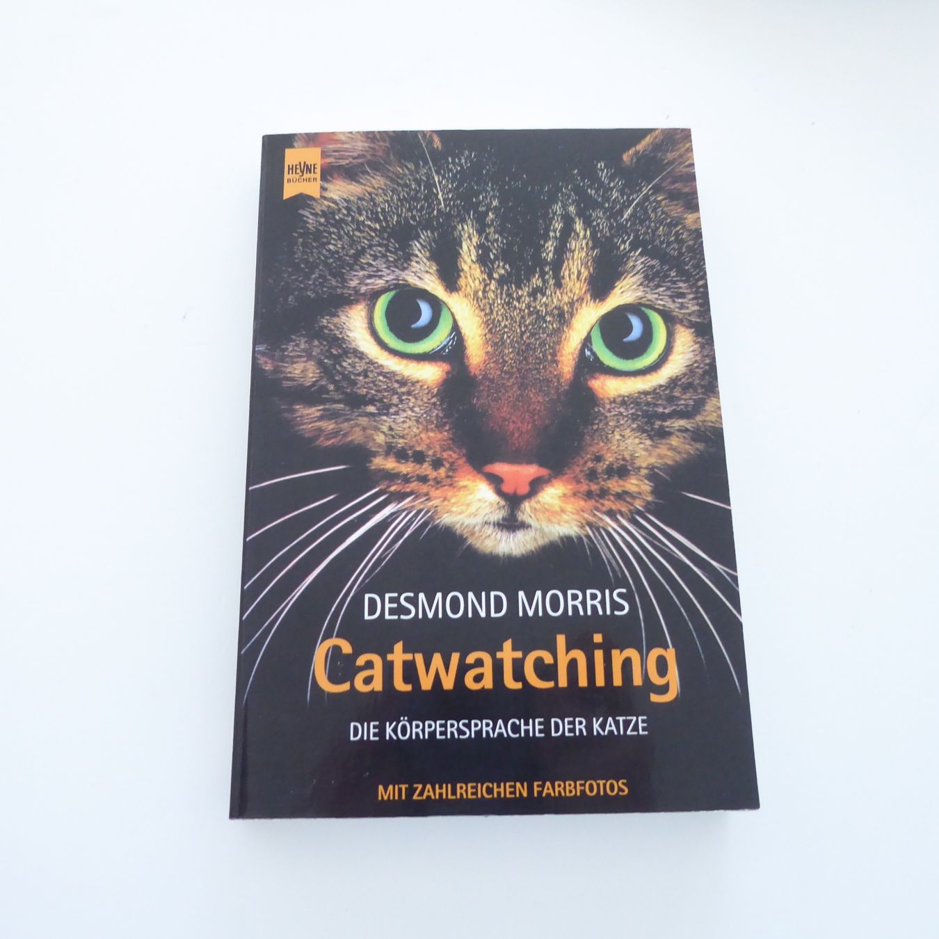 Bücher: Catwatching - Die Körpersprache der Katze – Gebraucht aus Basel von Kunterbunt12