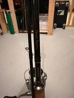Shimano Trout Native & Shimano Stradic