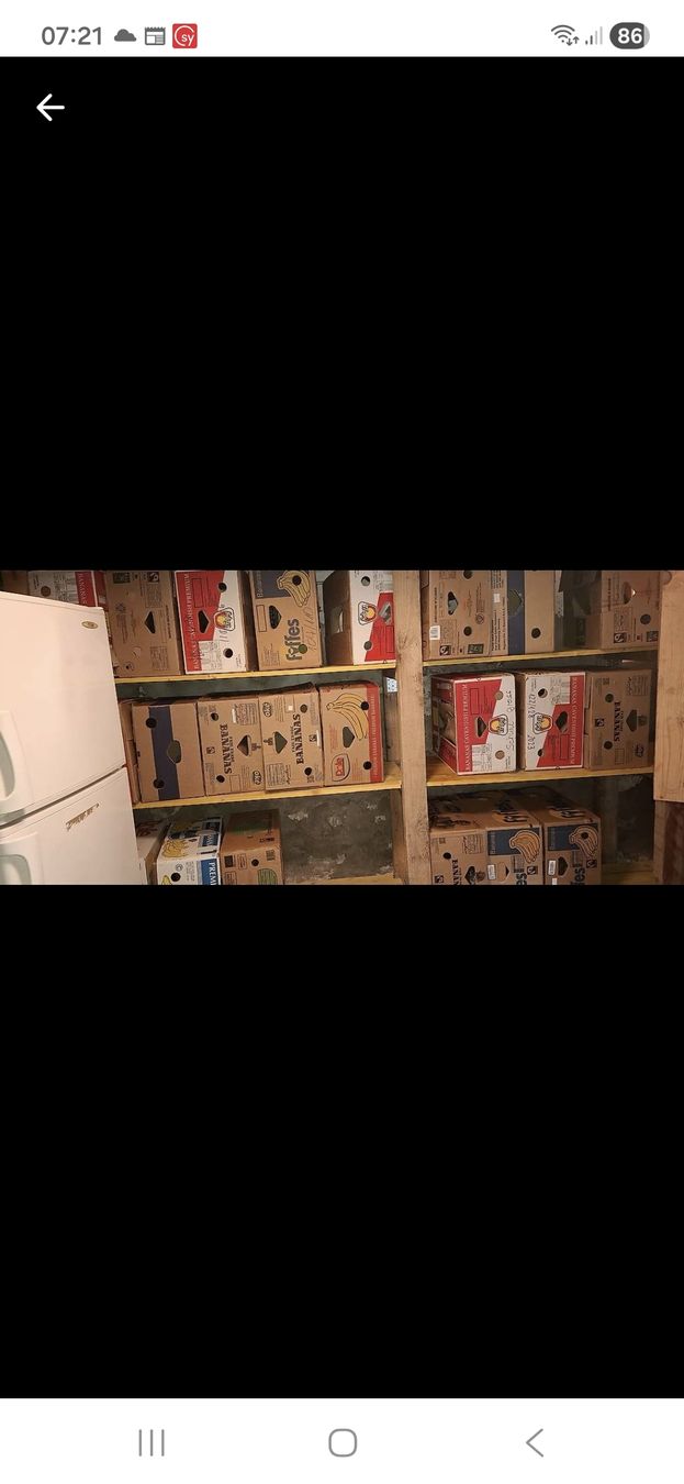 Cartons: Bananenschachteln – D'occasion à walenstadt par Aischu 1