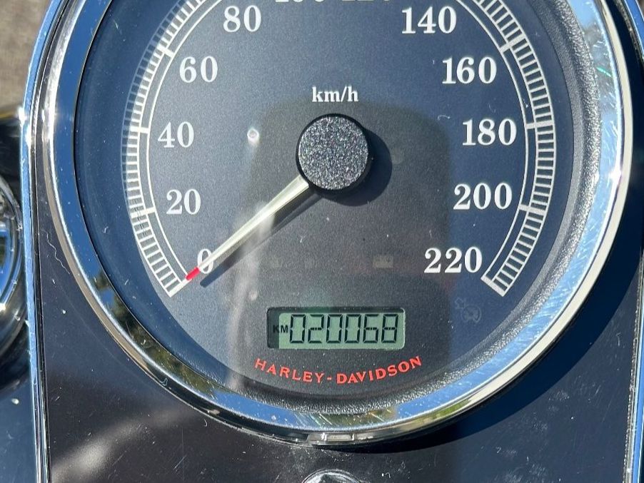 Harley-Davidson Chopper: Harley Davidson FLSTN 103 Deluxe – Usato da Oetwil an der Limmat venduto da astropoot 6