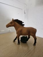 Tonie Box Figur - Was ist Was - Pferde * Rarität *
