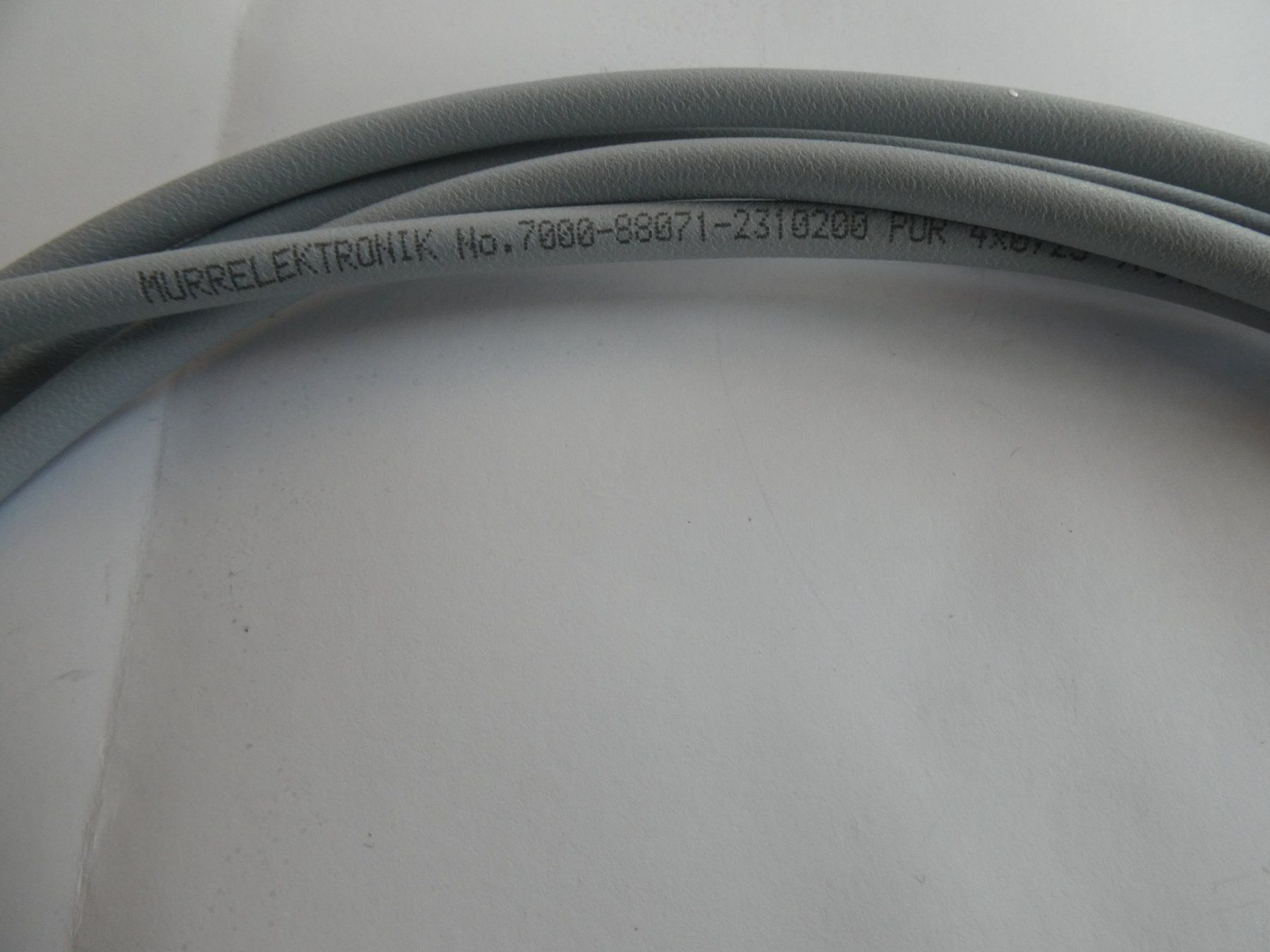 Componenti elettronici: MURR Verbindungsleitung M8 4Pol. – Nuovo e nell'imballaggio originale da Fulenbach venduto da Hach0 5