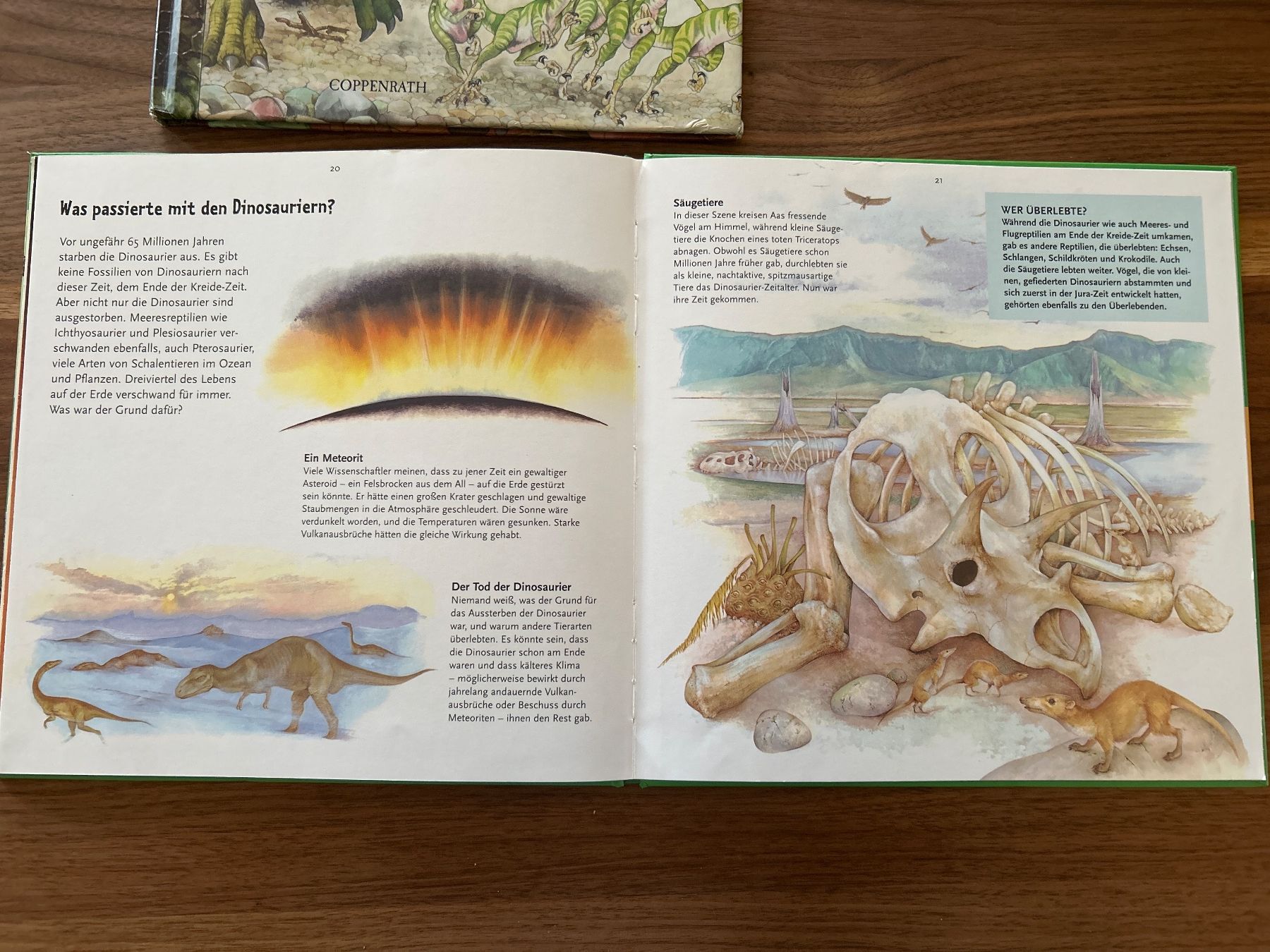 Libri: Dinosaurier Bücher von Coppenrath – Usato da Magden venduto da ctw_mp7b 4