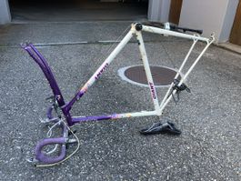 Rennvelo Rahmen Giant Peloton Lite