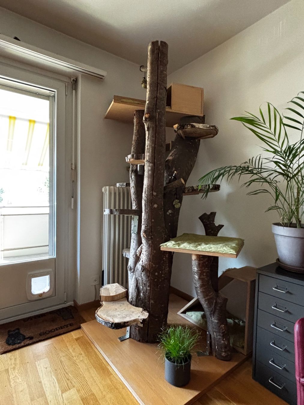 Katzenbaum - Kratzbaum: Katzenbaum – Gebraucht aus Stäfa von fre_6x7w 1