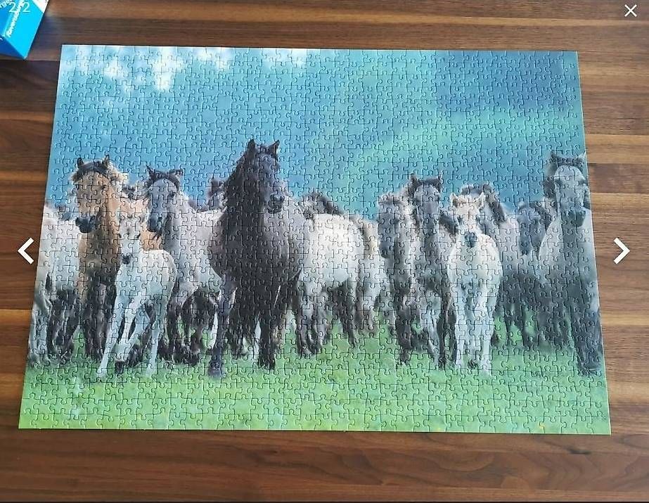 Puzzle: 1000 Teile Puzzle - Pferde – Usato da Lausen venduto da Swiss4444 1