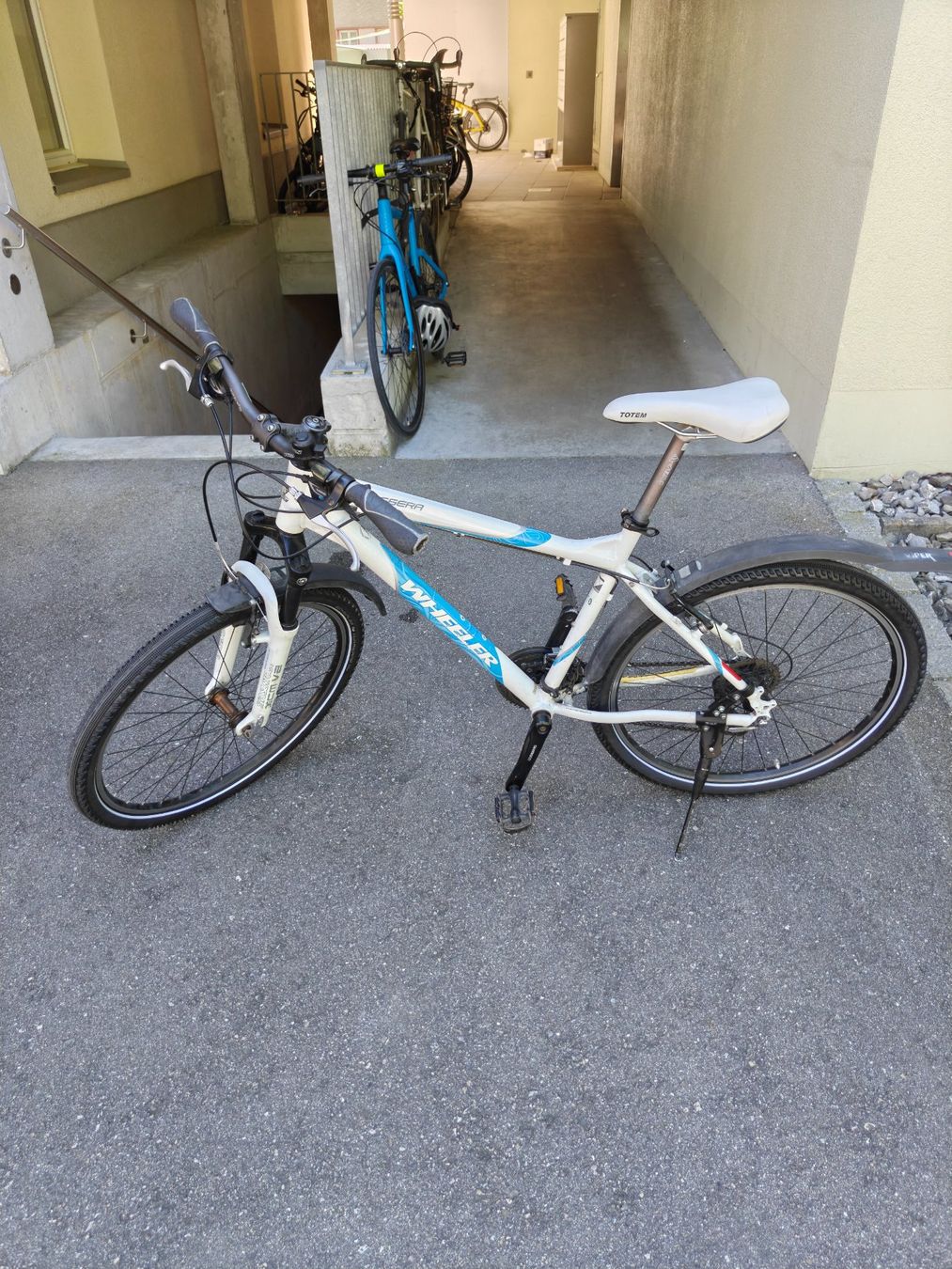 Wheeler Biciclette: Wheeler Mountainbike – Usato da Bern venduto da lin_hgy5