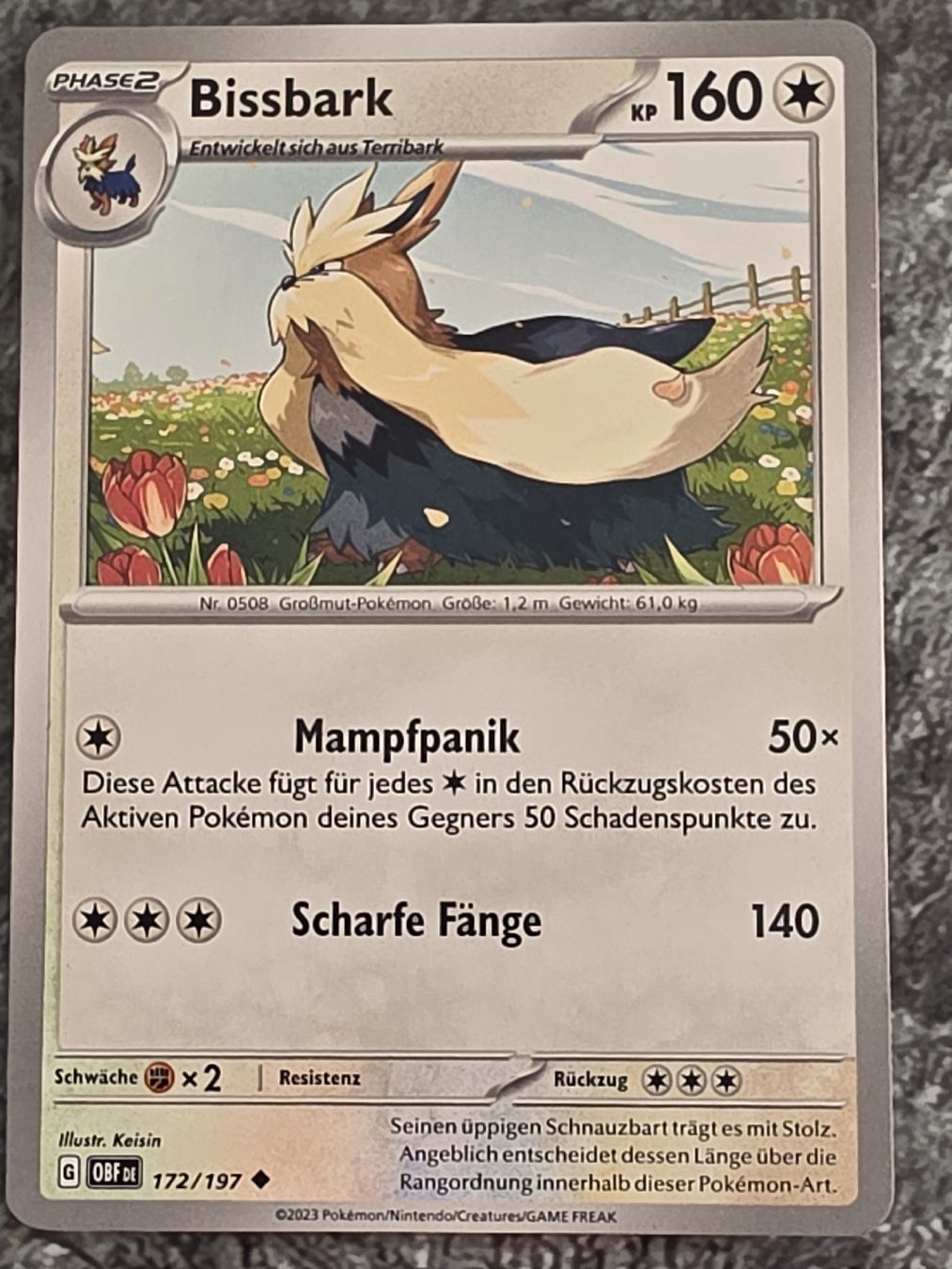 Pokémon Carte collezionabili: Pokémon Bissbark 172/197 Phase 2 KP 160  – Usato da Alberswil venduto da mario889