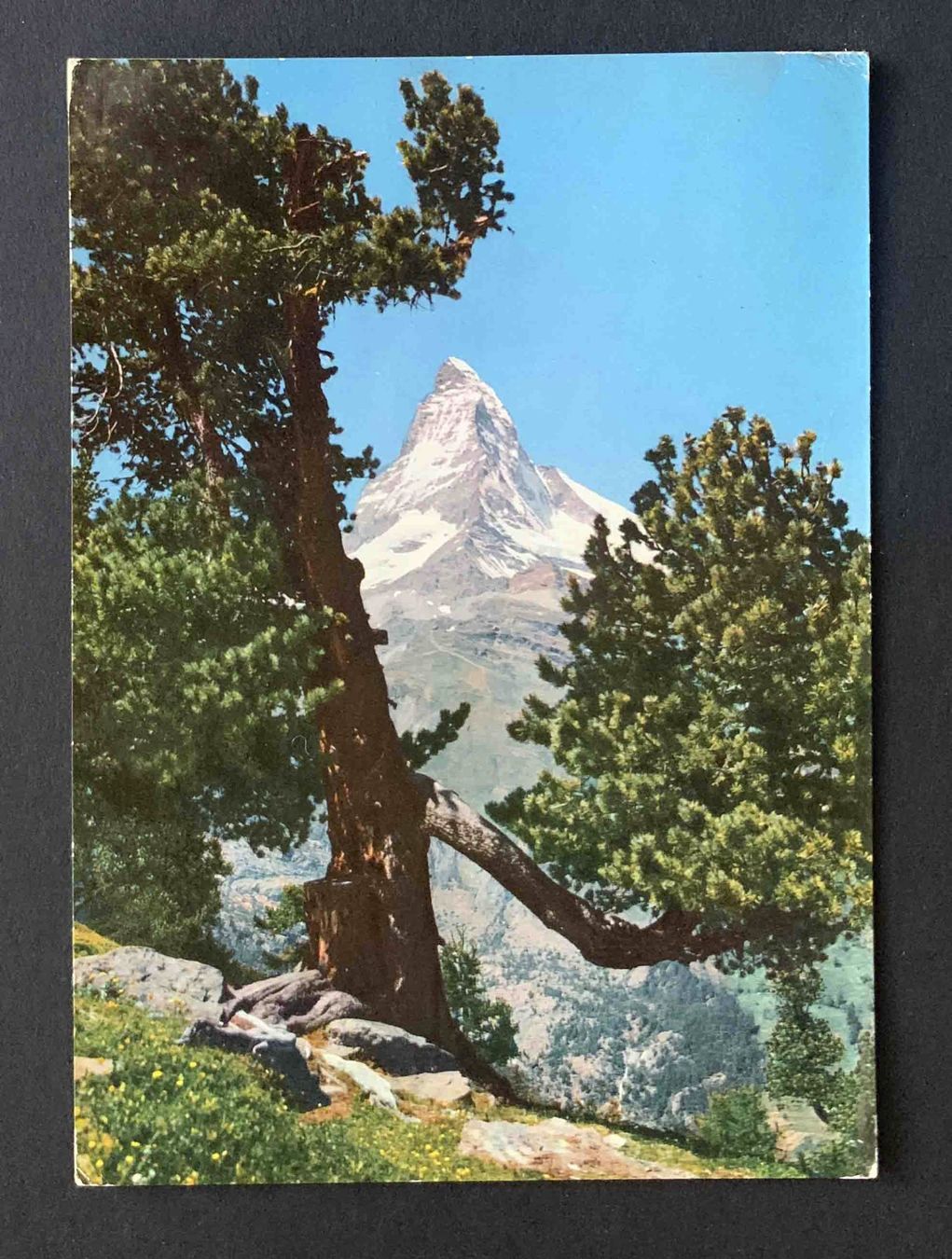 Cartoline postali: AK Zermatt Riffelalp mit Matterhorn – Usato da Goldau venduto da artelier1