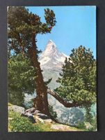 AK Zermatt Riffelalp mit Matterhorn