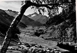 Curaglia