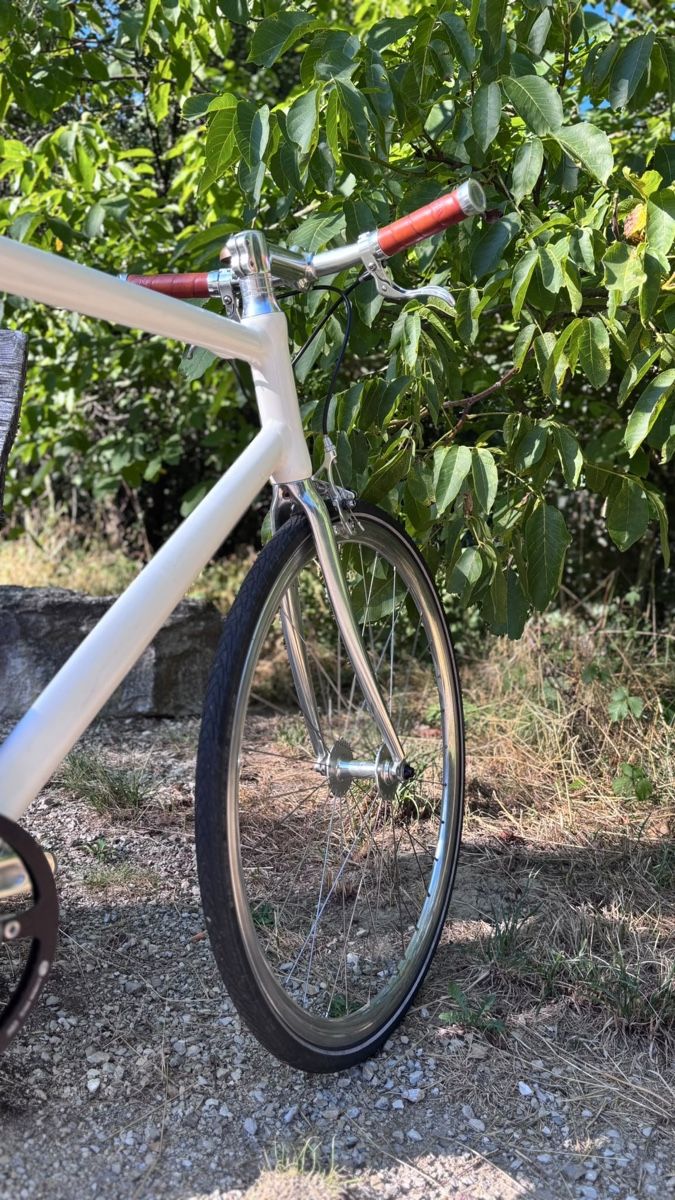 Schindelhauer Velos: Schindelhauer Siegfried – Singlespeed – Gebraucht aus Lyss von inf_c5q7 3