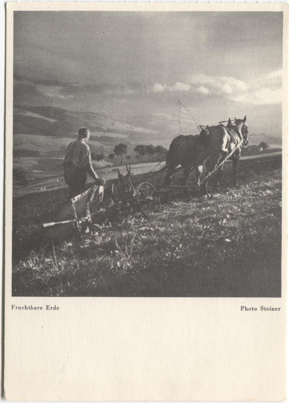 Cartes postales: LANDWIRTSCHAFT 1940 Kanton Bern Ackerbau mit Pferd – D'occasion à Wil SG par Clanx