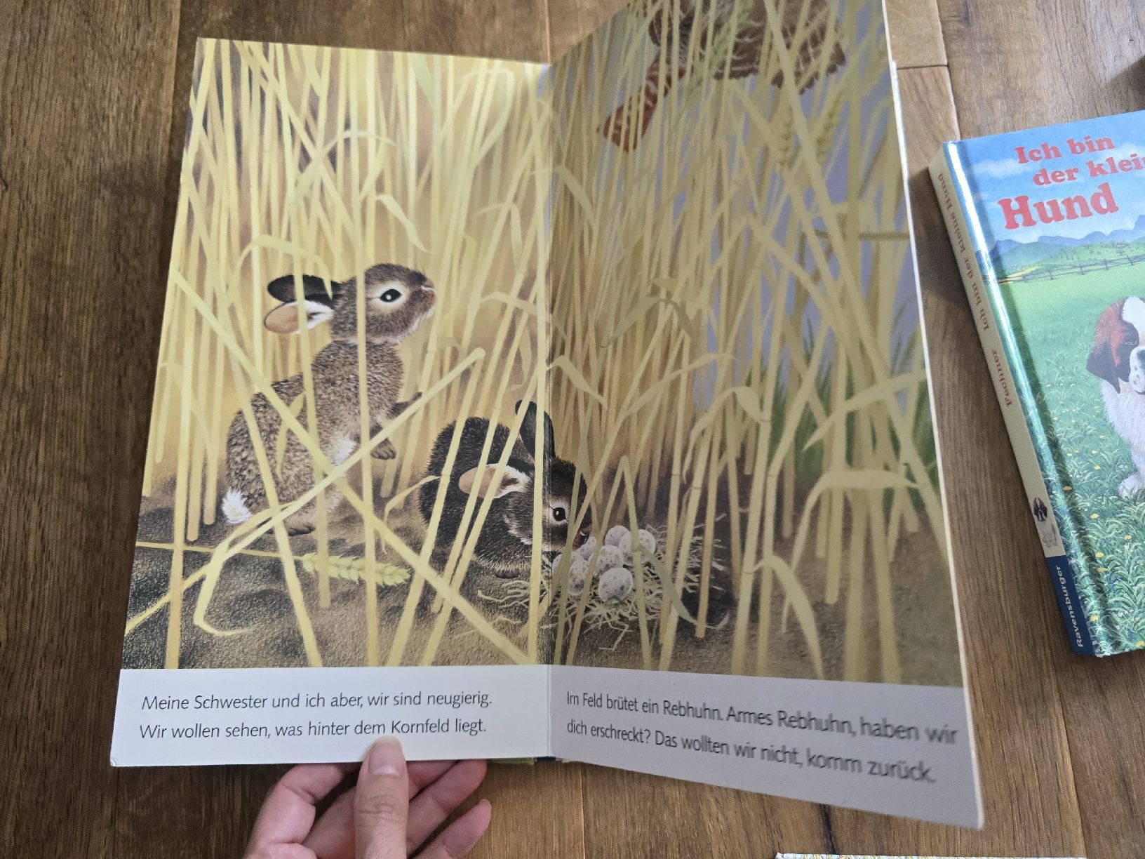 Bücher: 5er Set Kinderbücher "Ich bin..." Ravensburger set – Gebraucht aus Wittenbach von Tigerlili 6