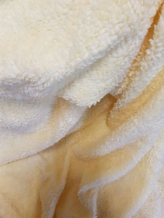 Teddy stoff (Neu (gemäss Beschreibung)) in Obermumpf für CHF 15 – mit ...