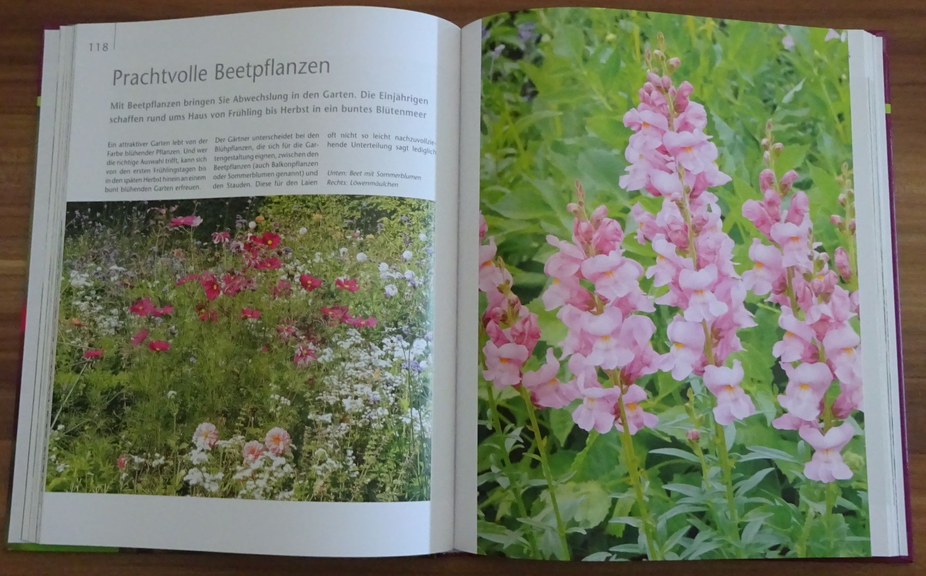 Livres: Stressfreie Gartenpraxis – D'occasion à Wagenhausen par Kahlen 1